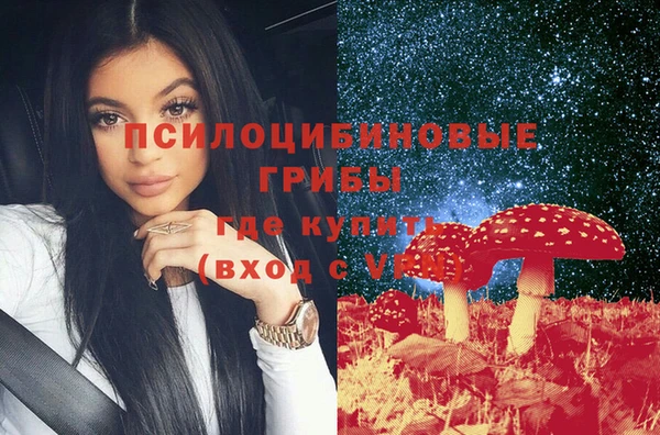 стафф Абинск